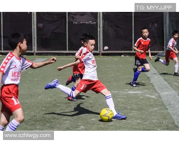 疯狂的麦咭足球明星带你体验足球的激情与梦想之旅